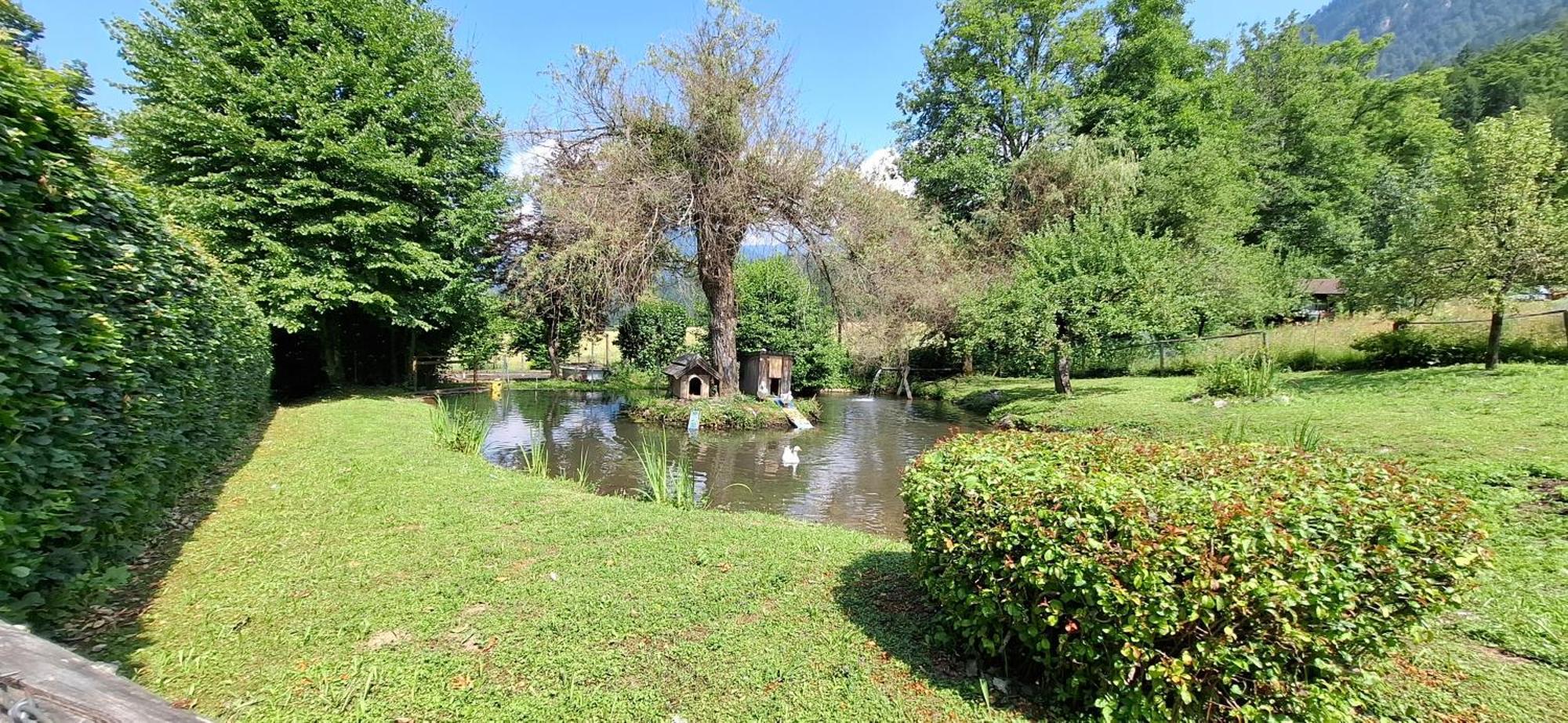 Ferienwohnungen Schloss Wasserleonburg Nötsch Exterior foto